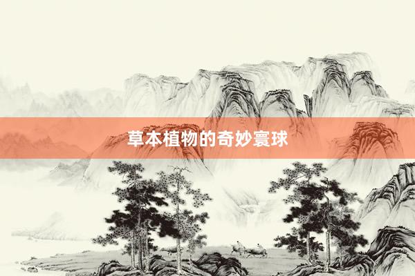 草本植物的奇妙寰球