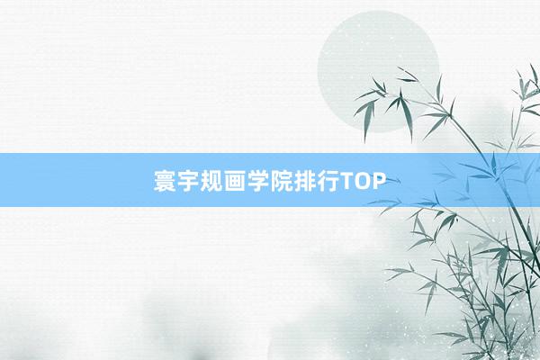 寰宇规画学院排行TOP