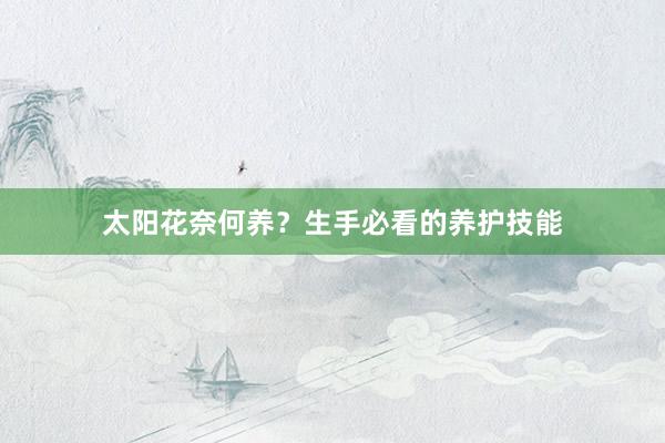 太阳花奈何养？生手必看的养护技能