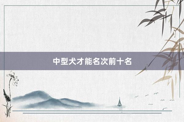 中型犬才能名次前十名