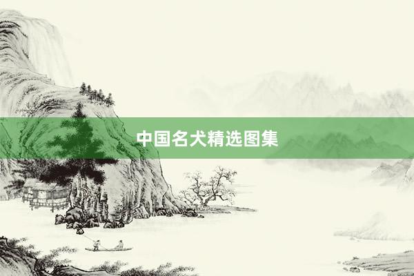 中国名犬精选图集