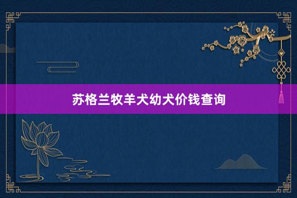 苏格兰牧羊犬幼犬价钱查询