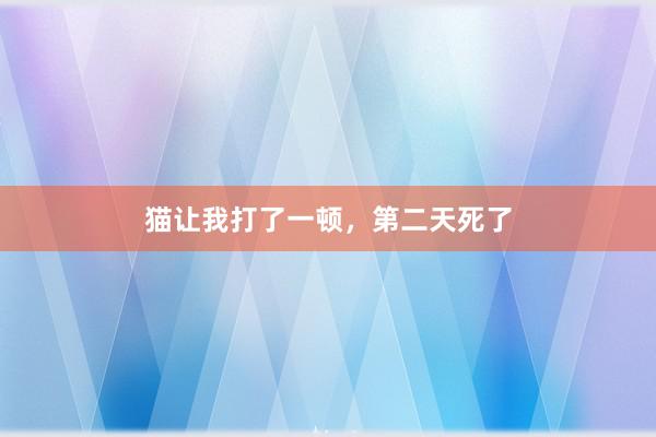猫让我打了一顿,第二天死了
