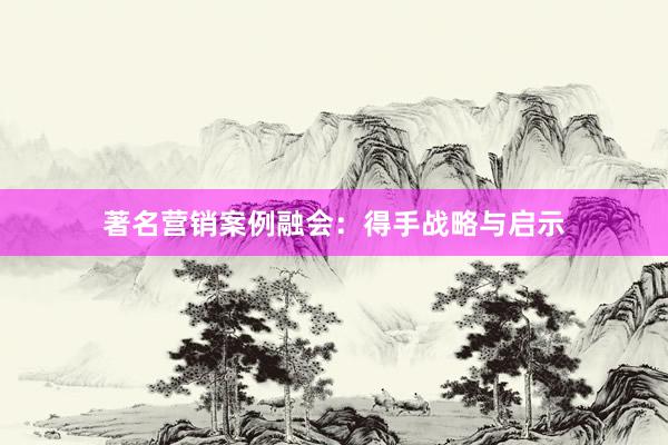 著名营销案例融会：得手战略与启示